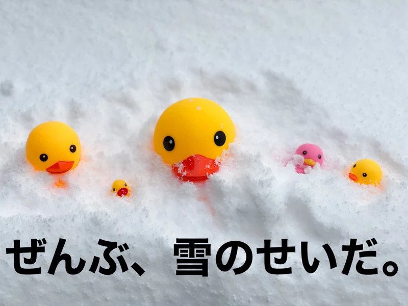 周辺スキー場の積雪情報(2月13日現在)