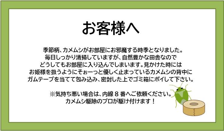 お部屋にカメムシがお邪魔しているかもしれません。