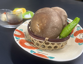 八色しいたけ
